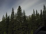 30 - Bow Lake  - IMGA0051